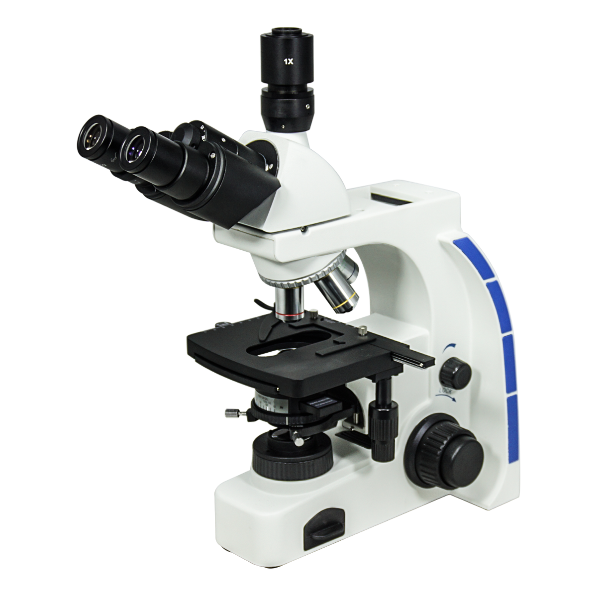 Phase Contrast Microscope